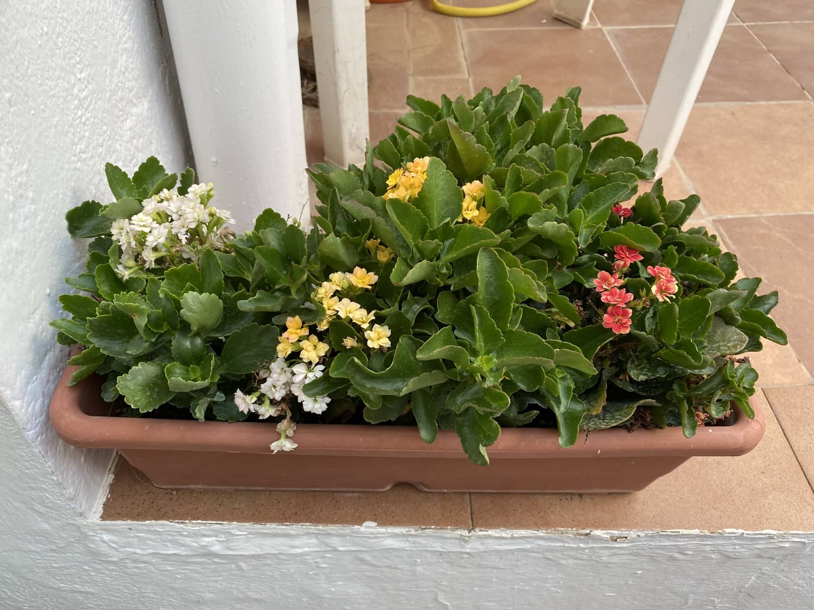 3 makuuhuone Omakotitalo myytävänä paikassa Villanueva del Trabuco mukana 
autotalli - 94 750 € (Ref: 9674852)