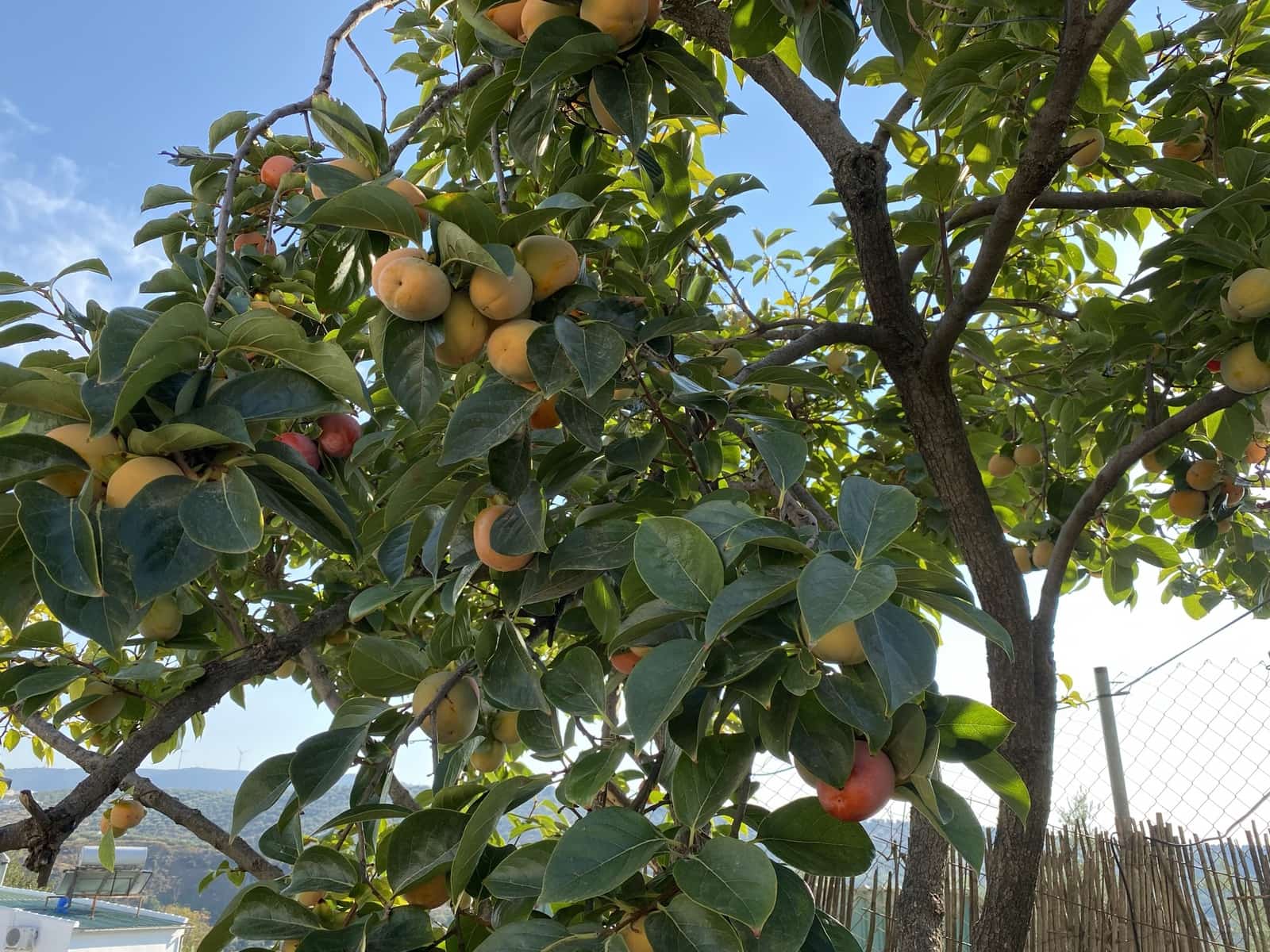 3 soveværelse Villa til salg i Villanueva de Algaidas med garage - € 189.995 (Ref: 9674853)