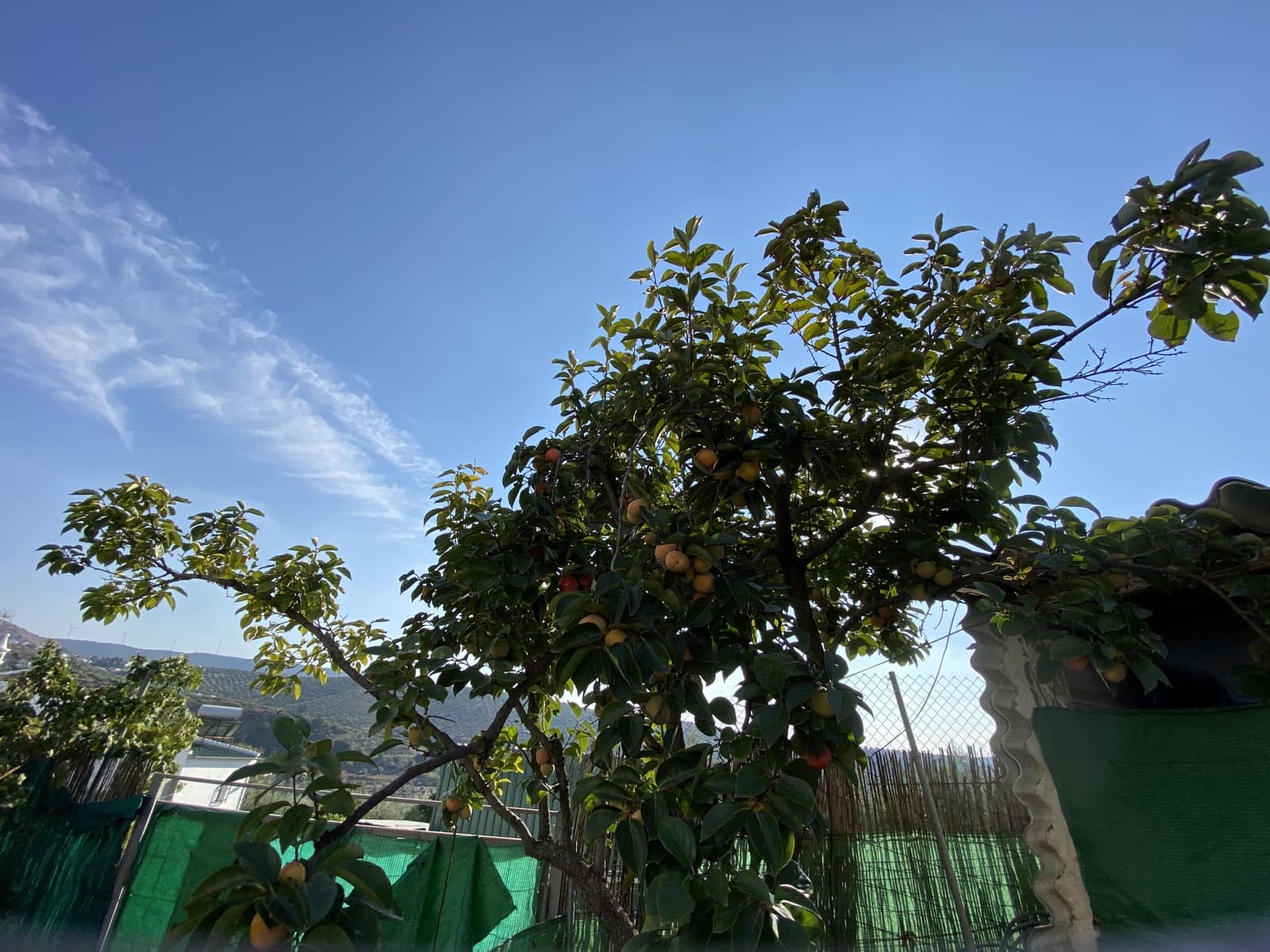 3 soveværelse Villa til salg i Villanueva de Algaidas med garage - € 189.995 (Ref: 9674853)