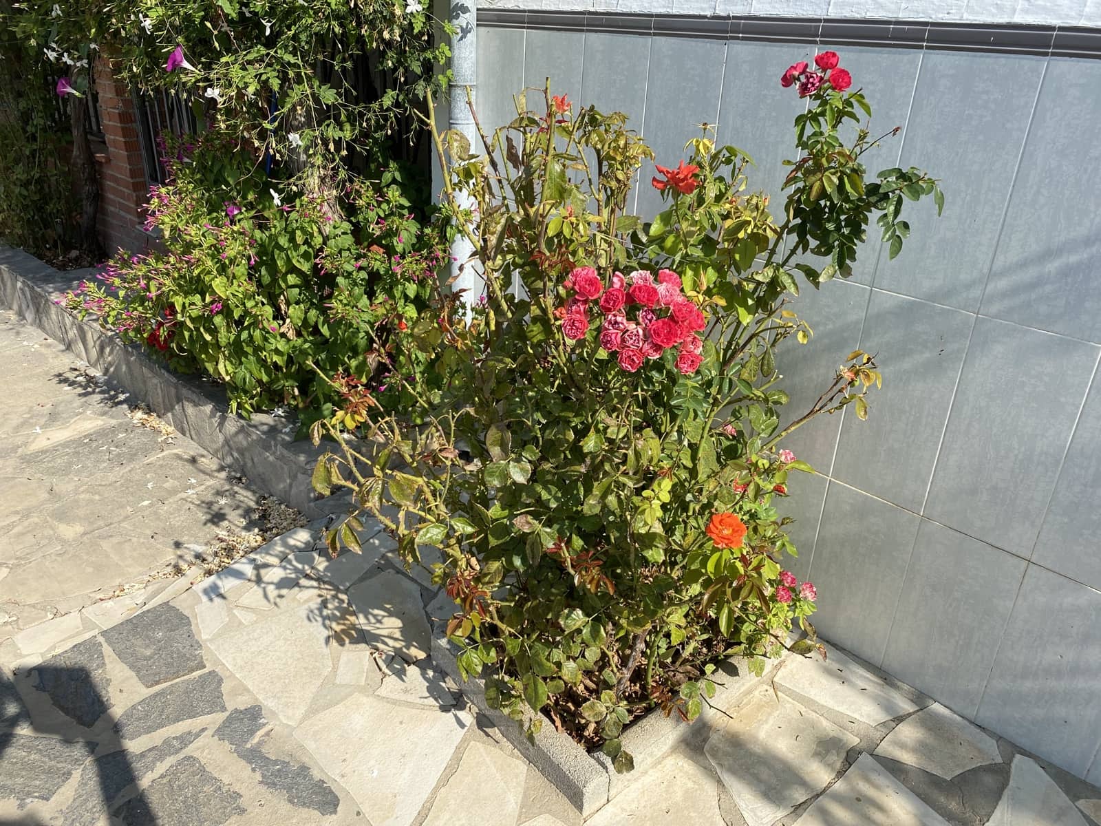 4 soveværelse Finca/Landehus til salg i Villanueva de Algaidas med garage - € 89.995 (Ref: 9674854)