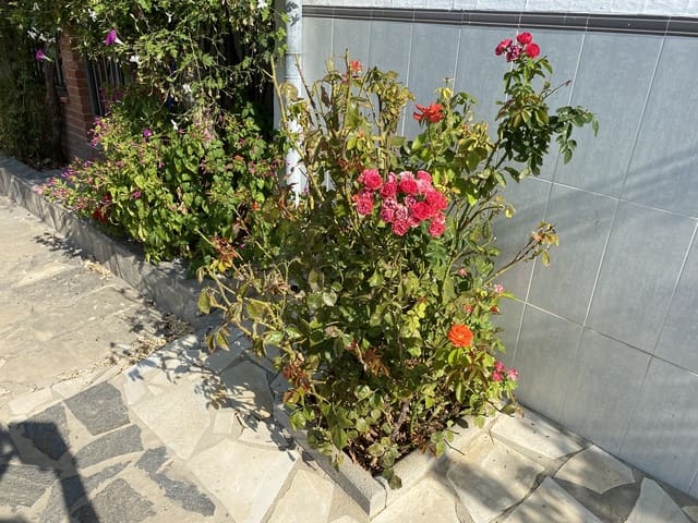 4 soveværelse Finca/Landehus til salg i Villanueva de Algaidas med garage - € 89.995 (Ref: 9674854)