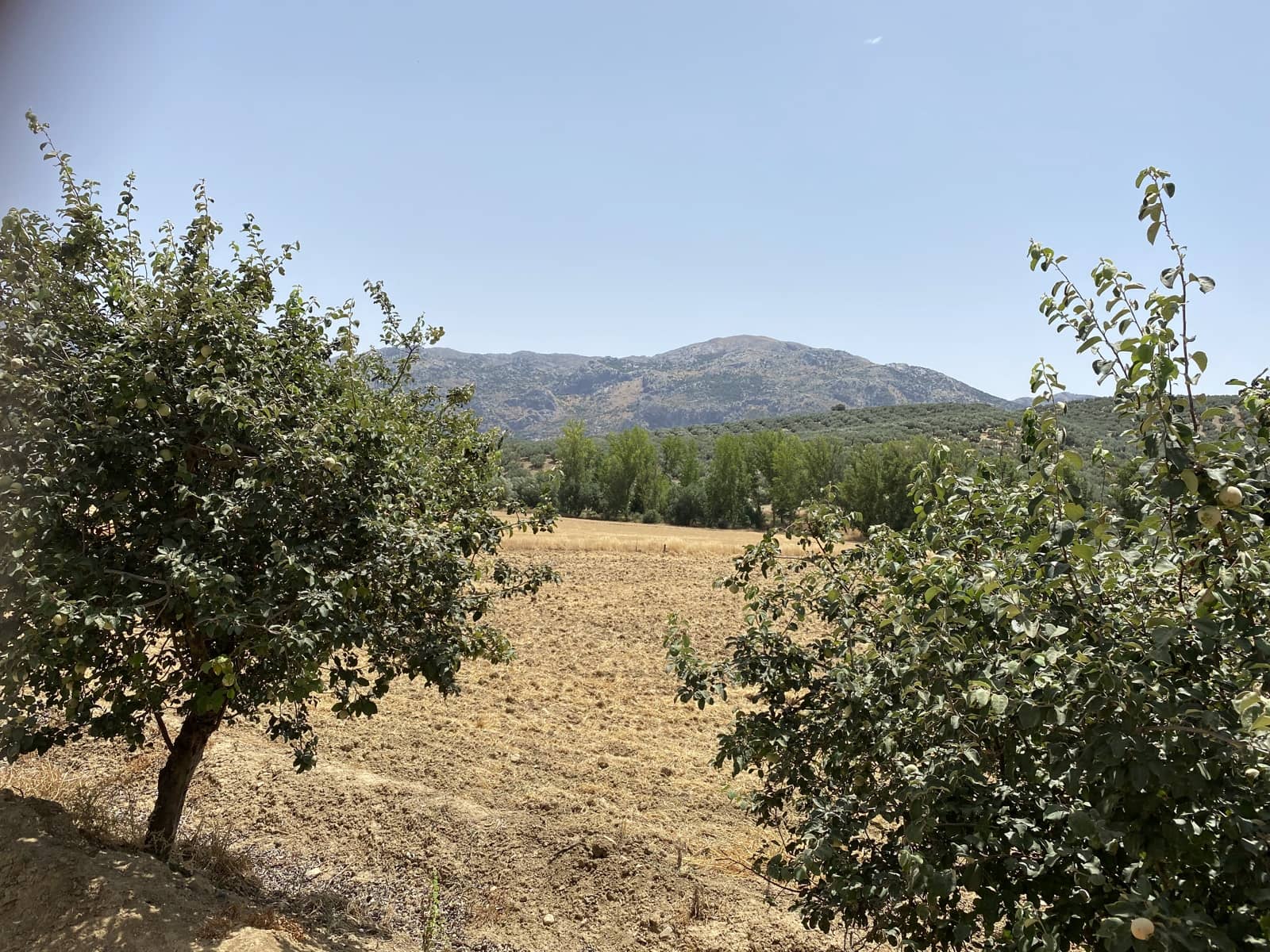 6 bedroom Finca/Country House for sale in Villanueva del Rosario with garage - € 299,000 (Ref: 9674856)