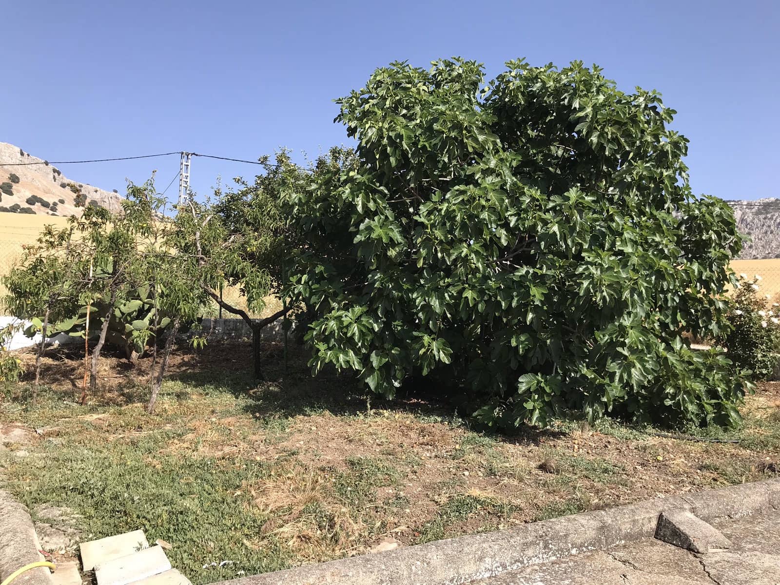 3 chambre Finca/Maison de Campagne à vendre à Villanueva del Trabuco avec garage - 195 000 € (Ref: 9674857)