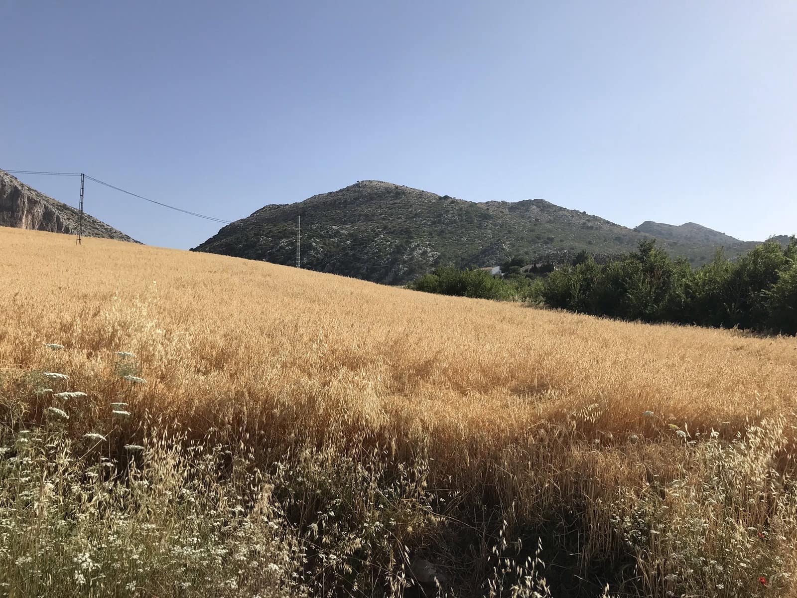 3 chambre Finca/Maison de Campagne à vendre à Villanueva del Trabuco avec garage - 195 000 € (Ref: 9674857)
