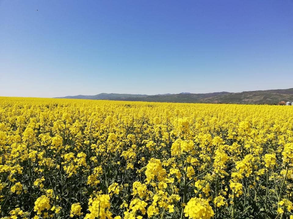 3 quarto Casa em Banda para venda em Villanueva de Tapia com piscina garagem - 185 000 € (Ref: 9674858)