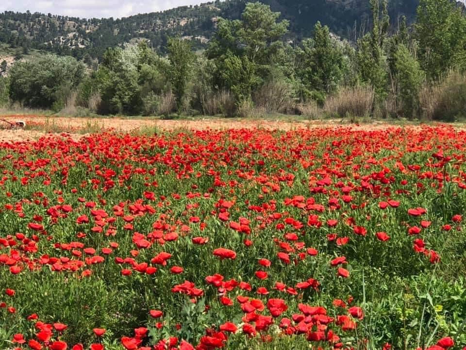 3 quarto Casa em Banda para venda em Villanueva de Tapia com piscina garagem - 185 000 € (Ref: 9674858)
