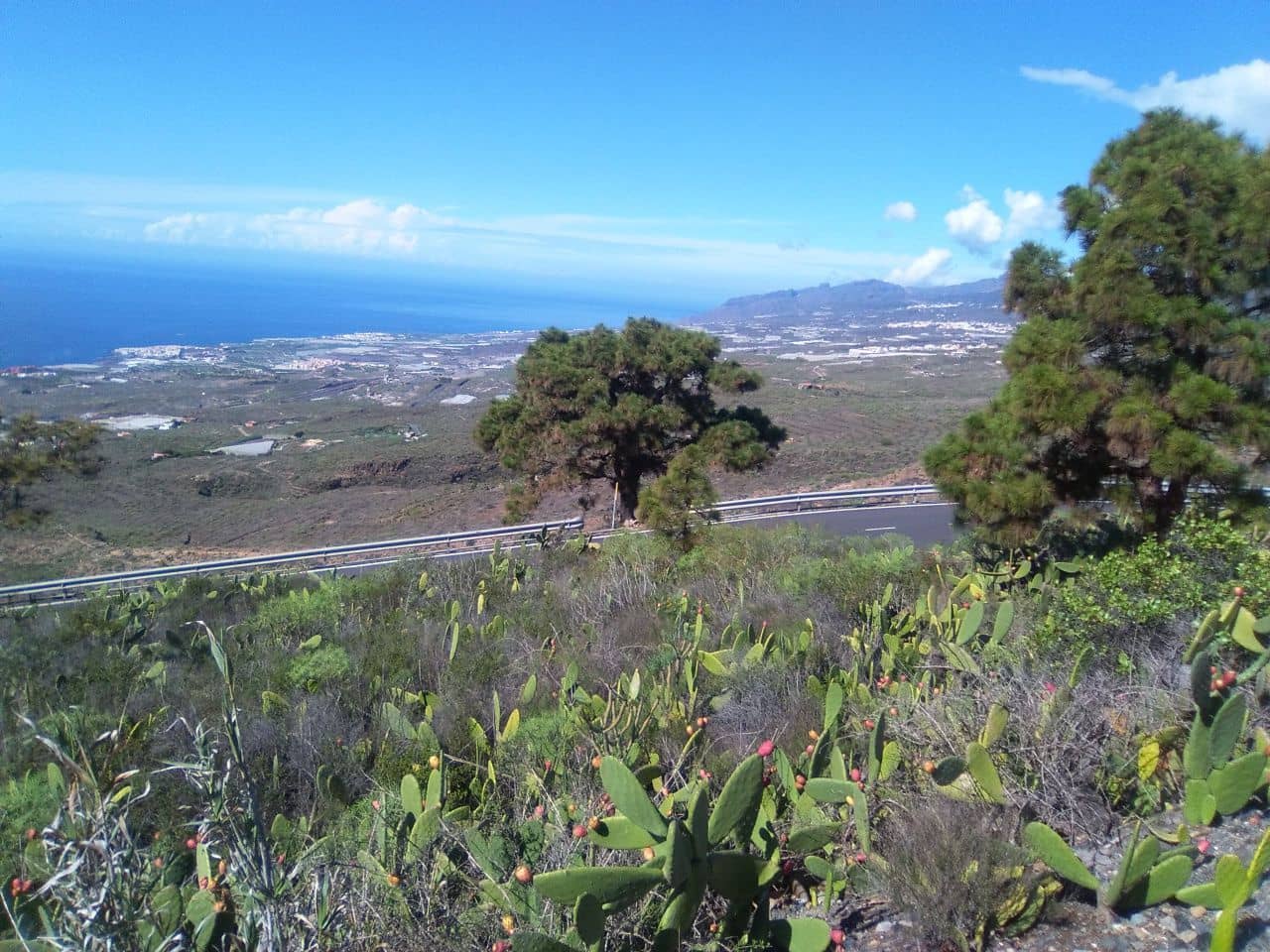 Działka budowlana na sprzedaż w Adeje - 475 000 € (Ref: 5247642)