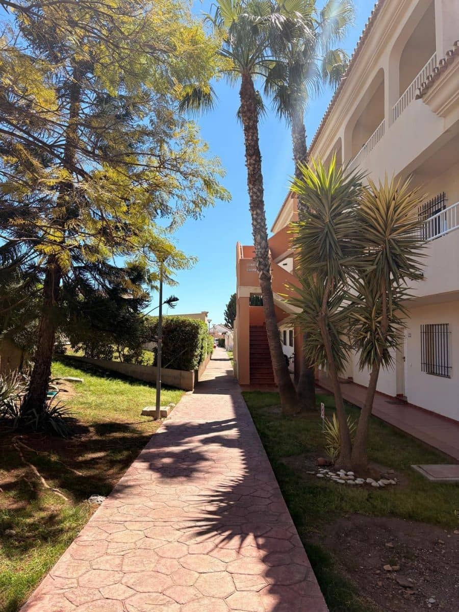 1 slaapkamer Appartement te huur in Torrox Park met zwembad - € 700 (Ref: 10062137)