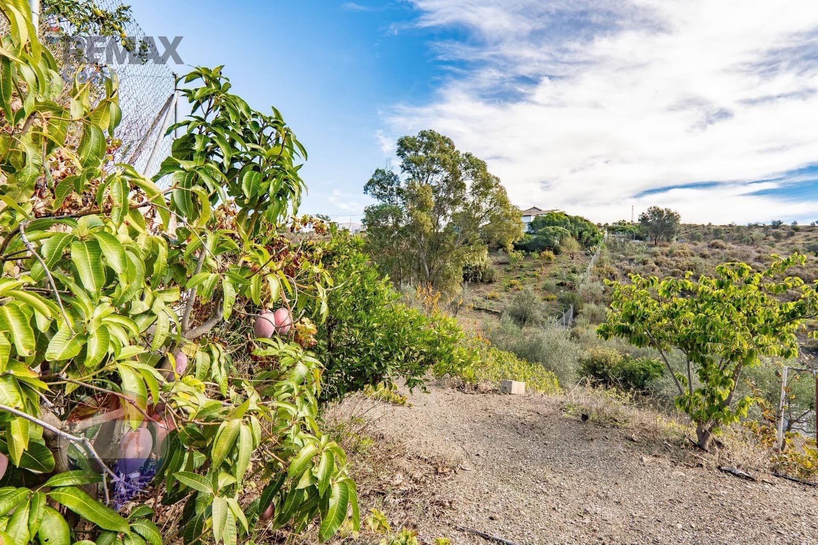 6 soverom Finca/Herregård til salgs i Velez-Malaga med garasje - € 360 000 (Ref: 10183045)