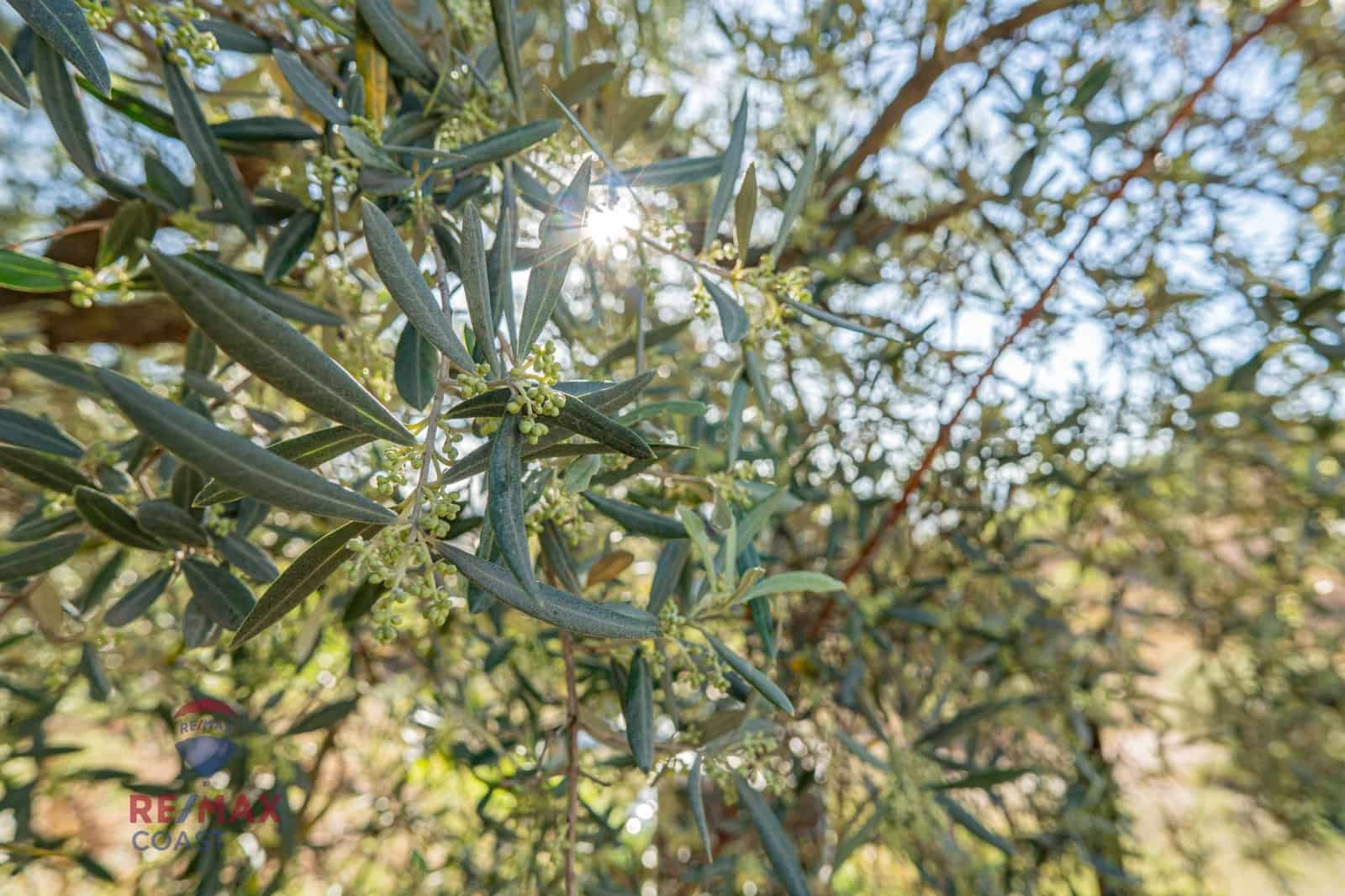 6 camera da letto Finca/Casa di Campagna in vendita in Colmenar - 395.000 € (Rif: 7546777)