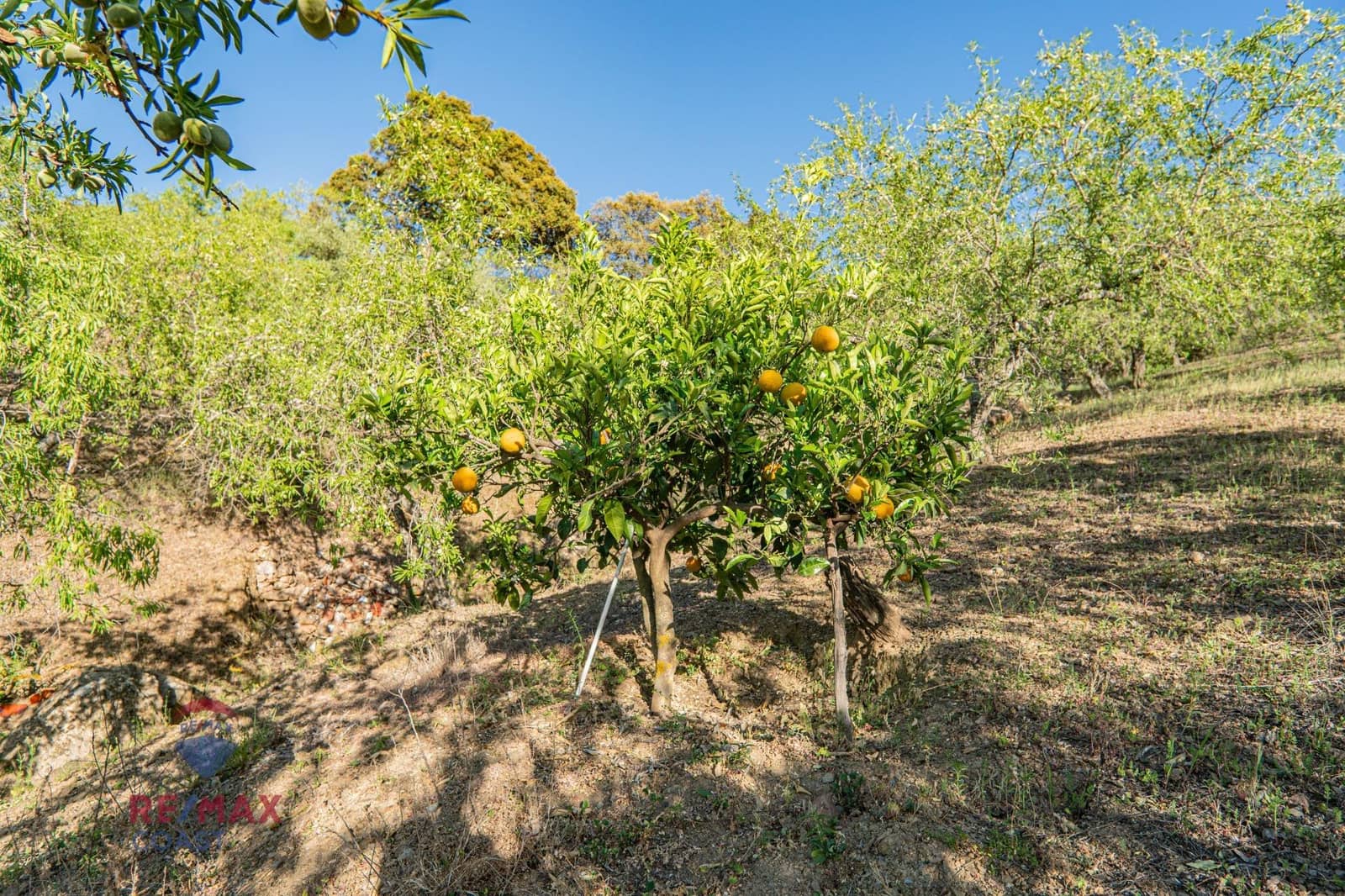 6 bedroom Finca/Country House for sale in Colmenar - € 395,000 (Ref: 7546777)