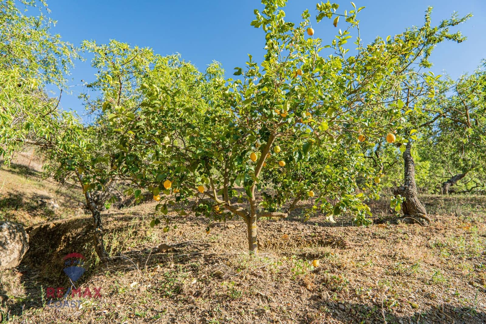 6 bedroom Finca/Country House for sale in Colmenar - € 395,000 (Ref: 7546777)