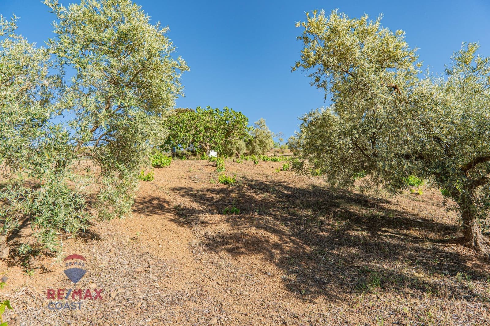 6 bedroom Finca/Country House for sale in Colmenar - € 395,000 (Ref: 7546777)