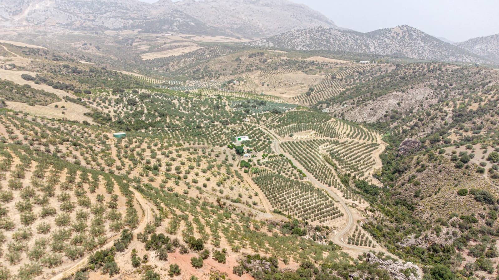 Grunde uden byggetilladelser til salg i Colmenar - € 1.495.000 (Ref: 8113250)