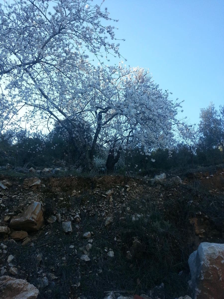 3 quarto Quinta/Casa Rural para venda em Yunquera - 170 000 € (Ref: 8243028)