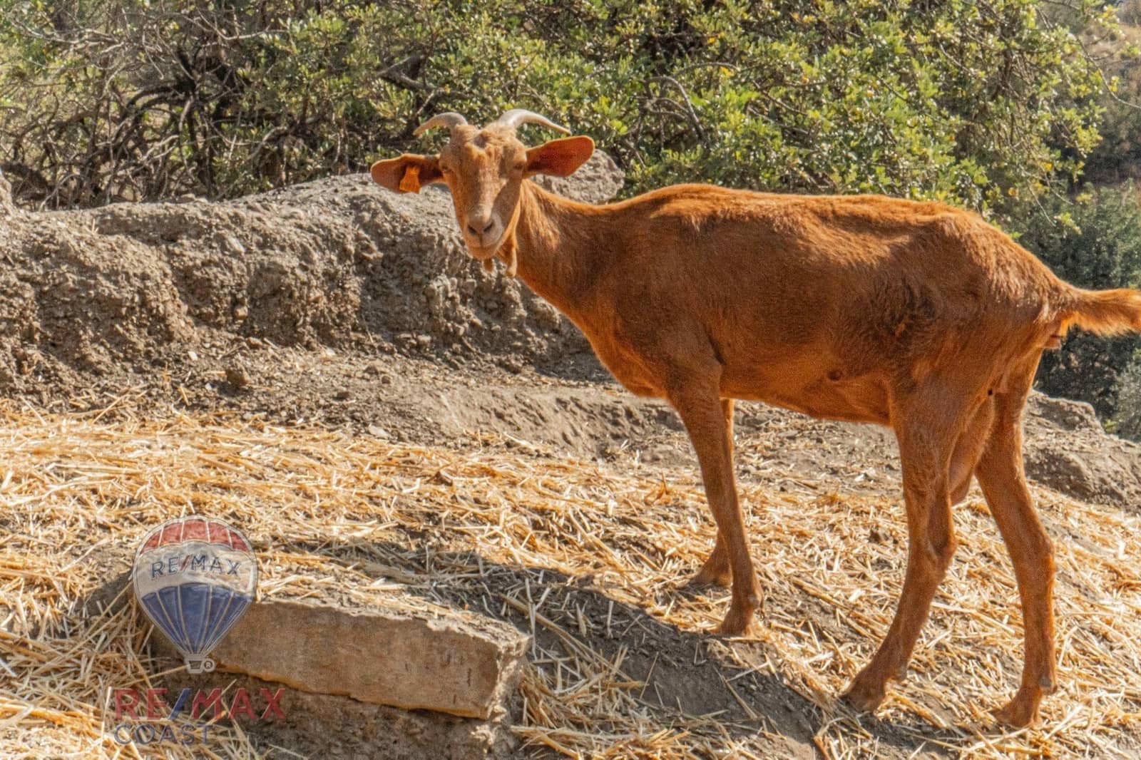 4 quarto Quinta/Casa Rural para venda em El Chorro com garagem - 175 000 € (Ref: 8338015)