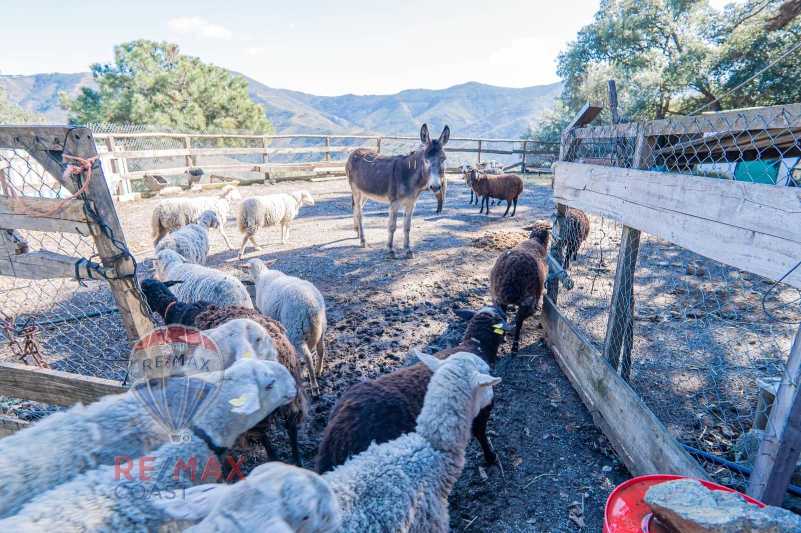 5 soveværelse Finca/Landehus til salg i Jubrique med swimmingpool - € 1.180.000 (Ref: 8802085)