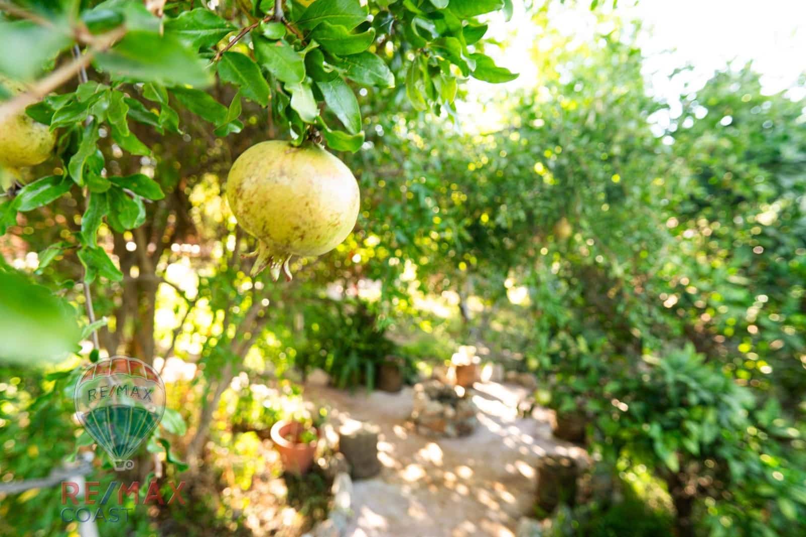 Chalet de 3 habitaciones en Coín en venta con piscina garaje - 478.000 € (Ref: 9220131)