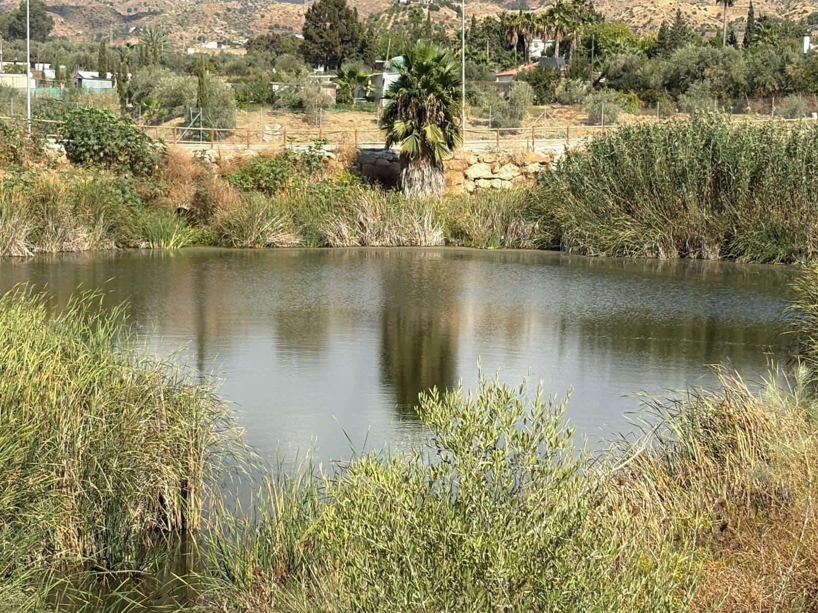 Działka budowlana na sprzedaż w Cartama - 105 800 € (Ref: 9311034)