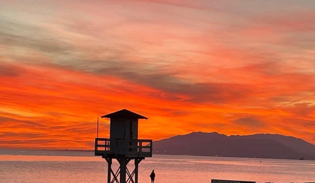 Bedrift til leie i Rincon de la Victoria - € 1 500 (Ref: 9374429)