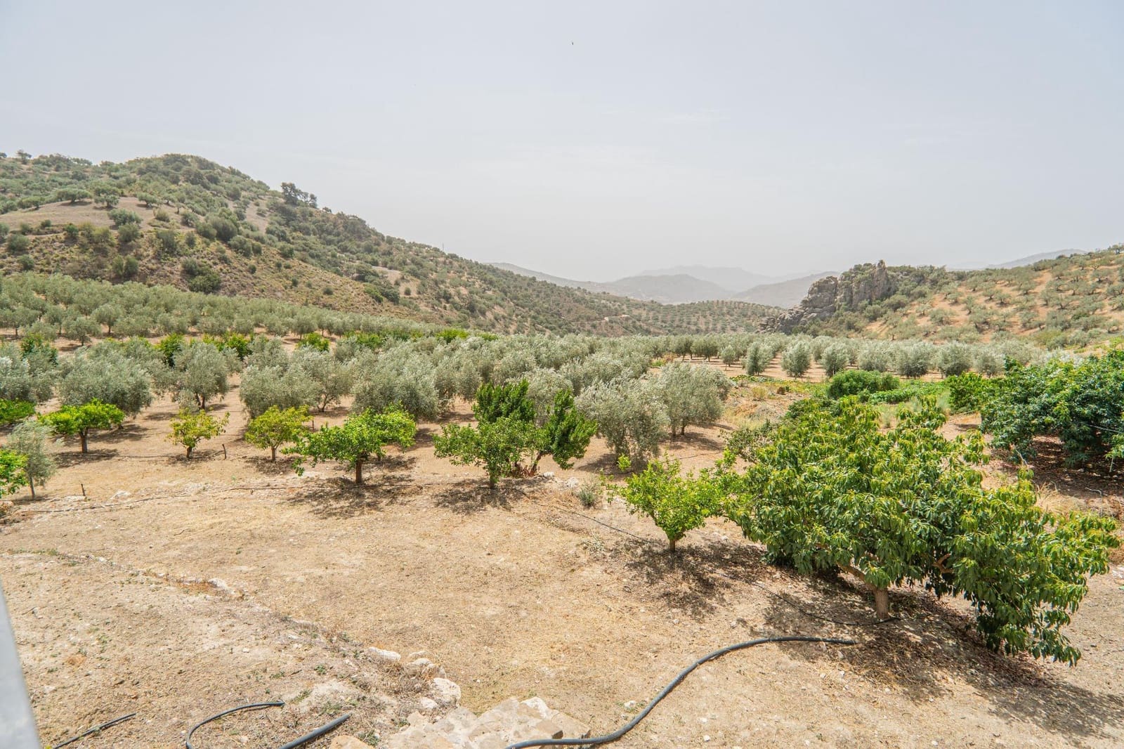 Landgrundstück zu verkaufen in Colmenar - 1.790.000 € (Ref: 9571350)