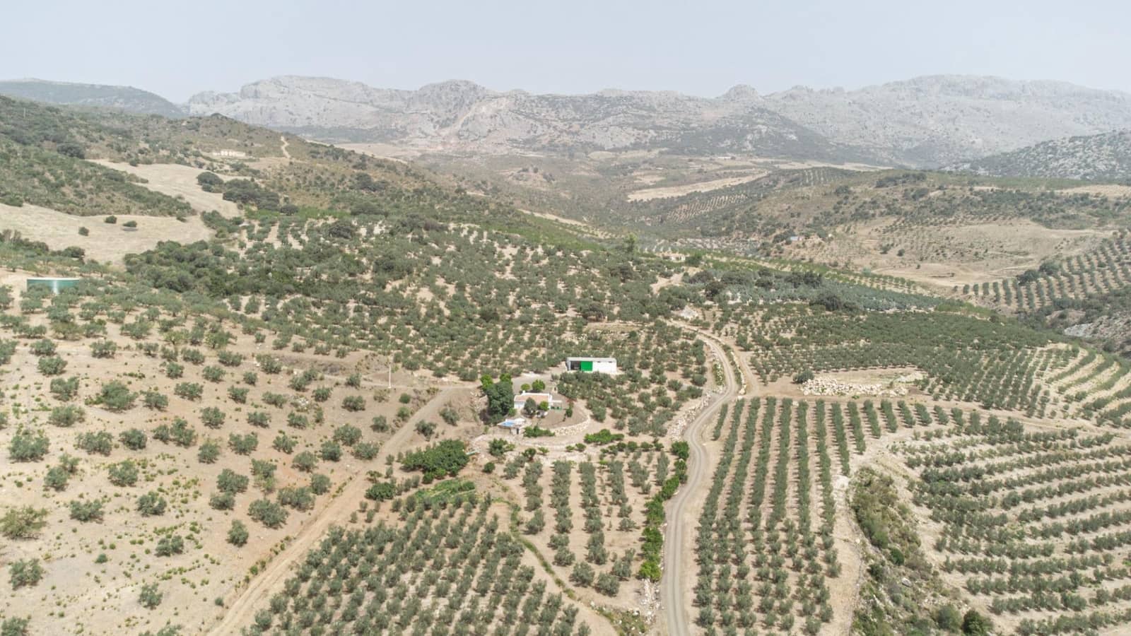 Grunde uden byggetilladelser til salg i Colmenar - € 1.790.000 (Ref: 9571350)