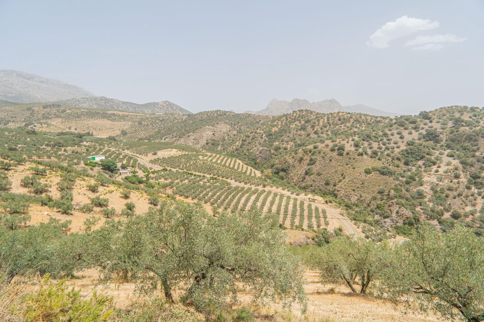 Grunde uden byggetilladelser til salg i Colmenar - € 1.790.000 (Ref: 9571350)