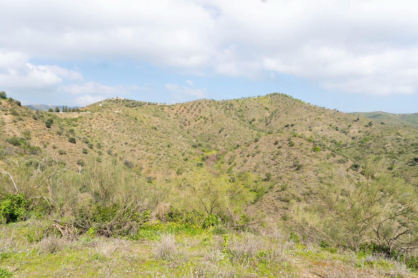 Terreno/Finca Rústica en Almayate en venta - 199.000 € (Ref: 9679963)