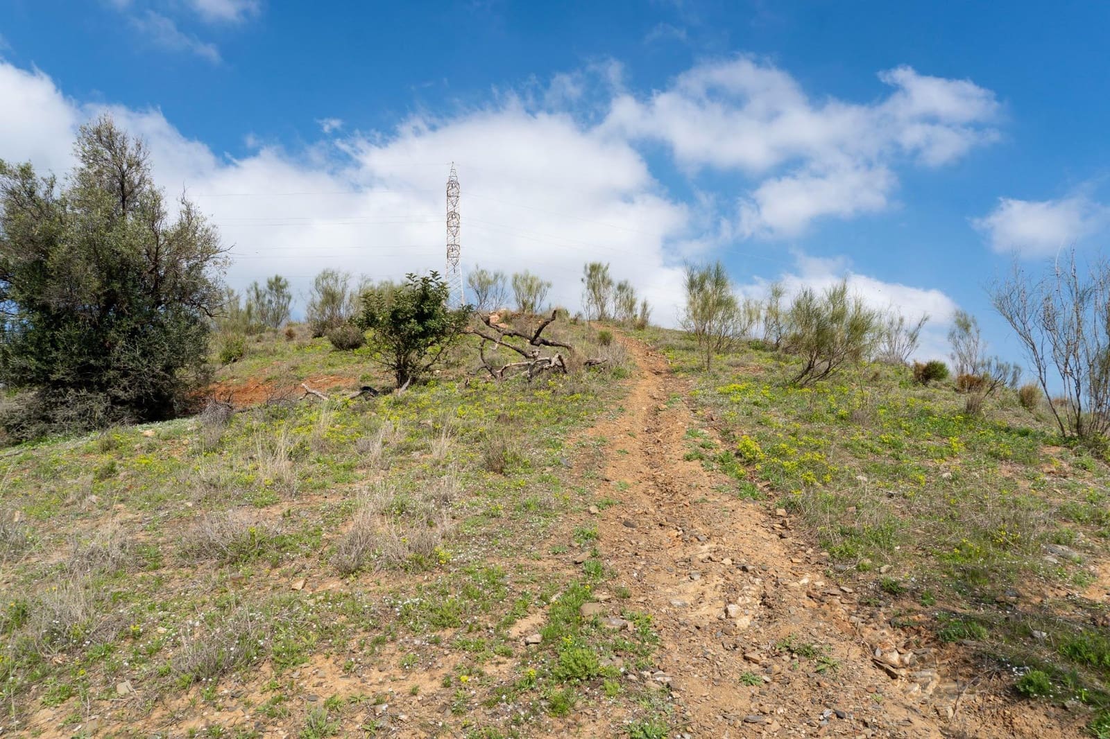 Terreno/Finca Rústica en Almayate en venta - 199.000 € (Ref: 9679963)