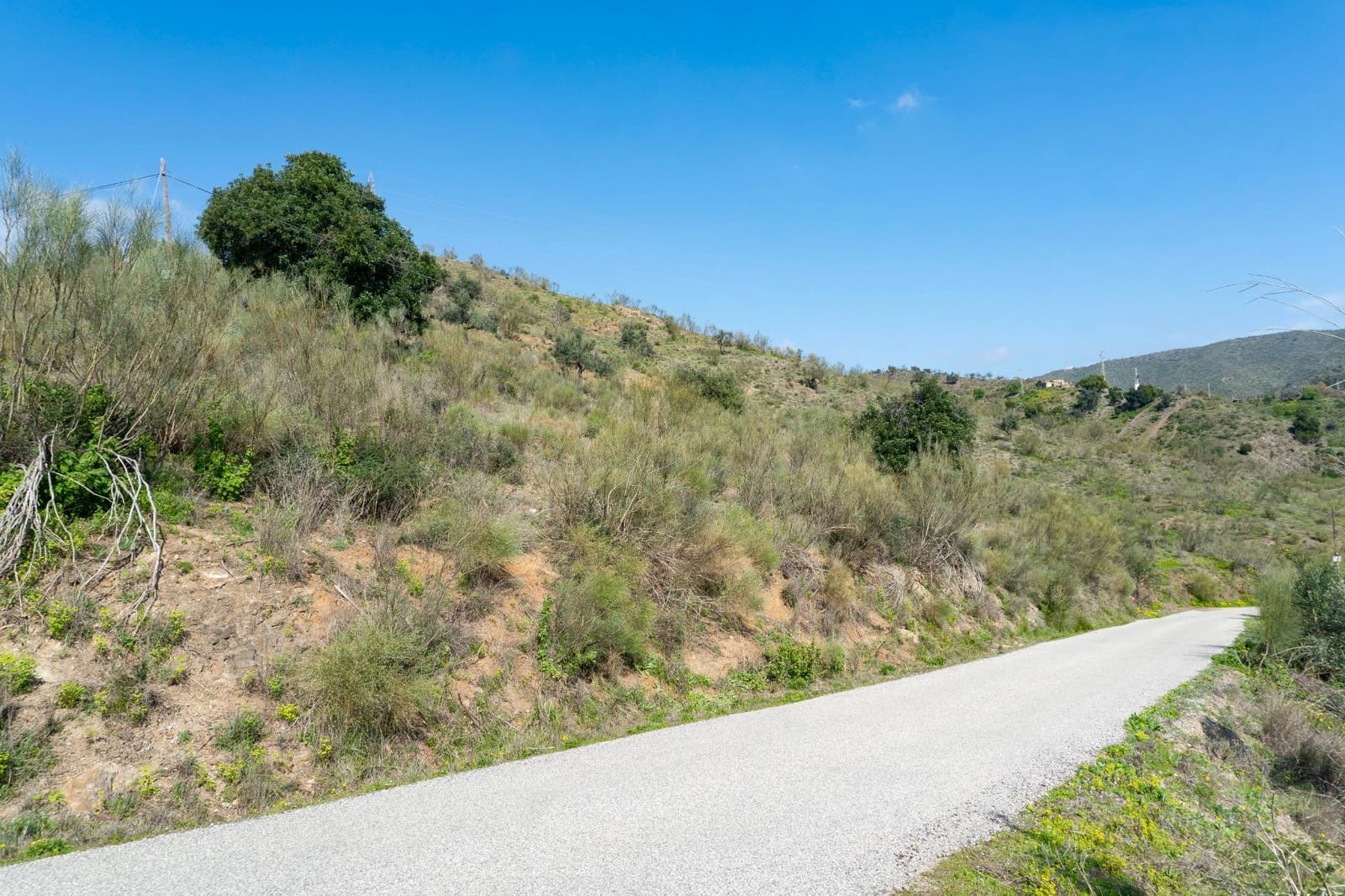 Terreno/Finca Rústica en Almayate en venta - 199.000 € (Ref: 9679963)