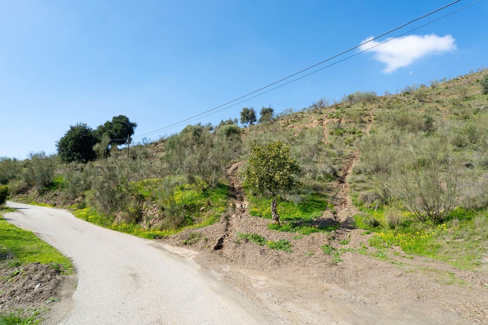 Terreno/Finca Rústica en Almayate en venta - 199.000 € (Ref: 9679963)