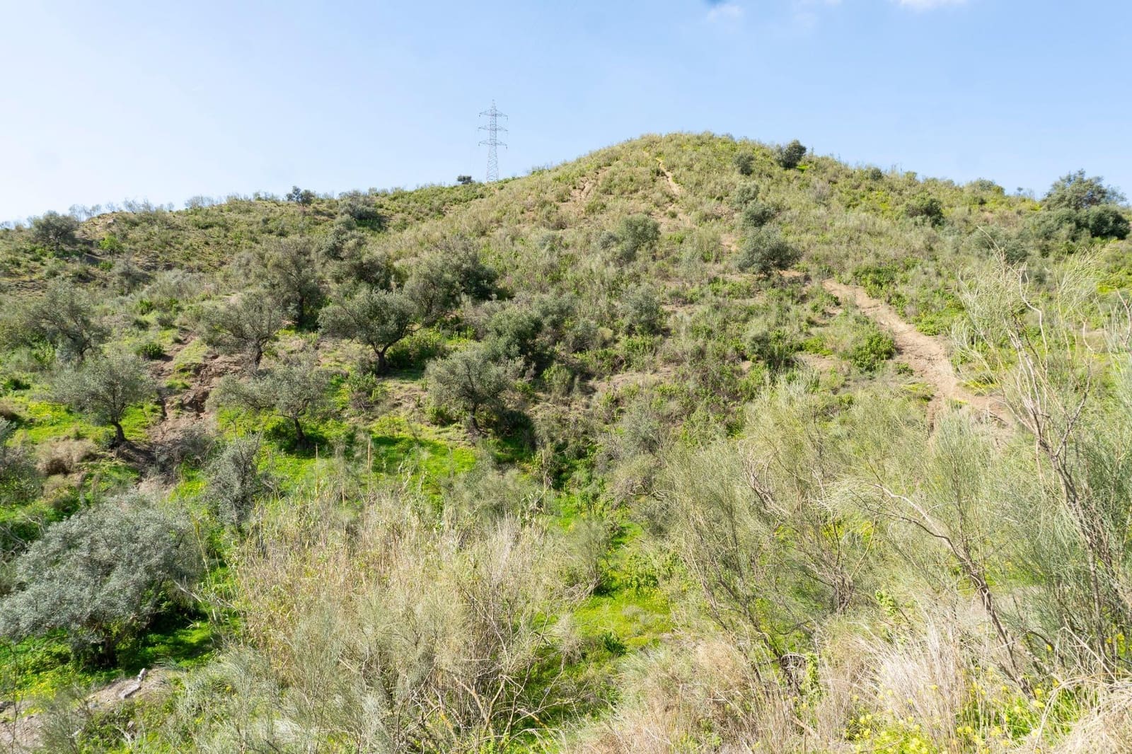 Undeveloped Land for sale in Almayate - € 199,000 (Ref: 9679963)