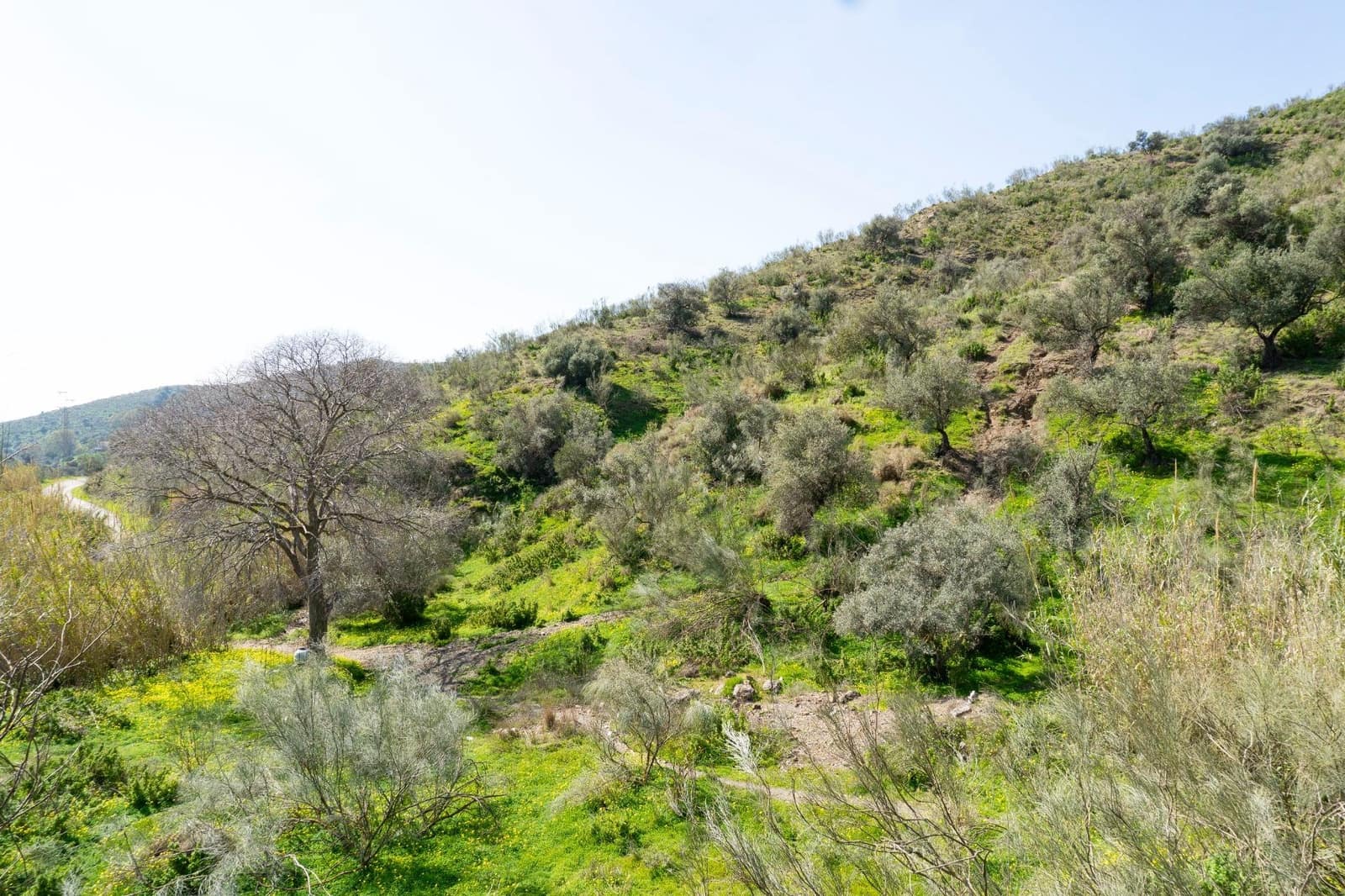 Undeveloped Land for sale in Almayate - € 199,000 (Ref: 9679963)