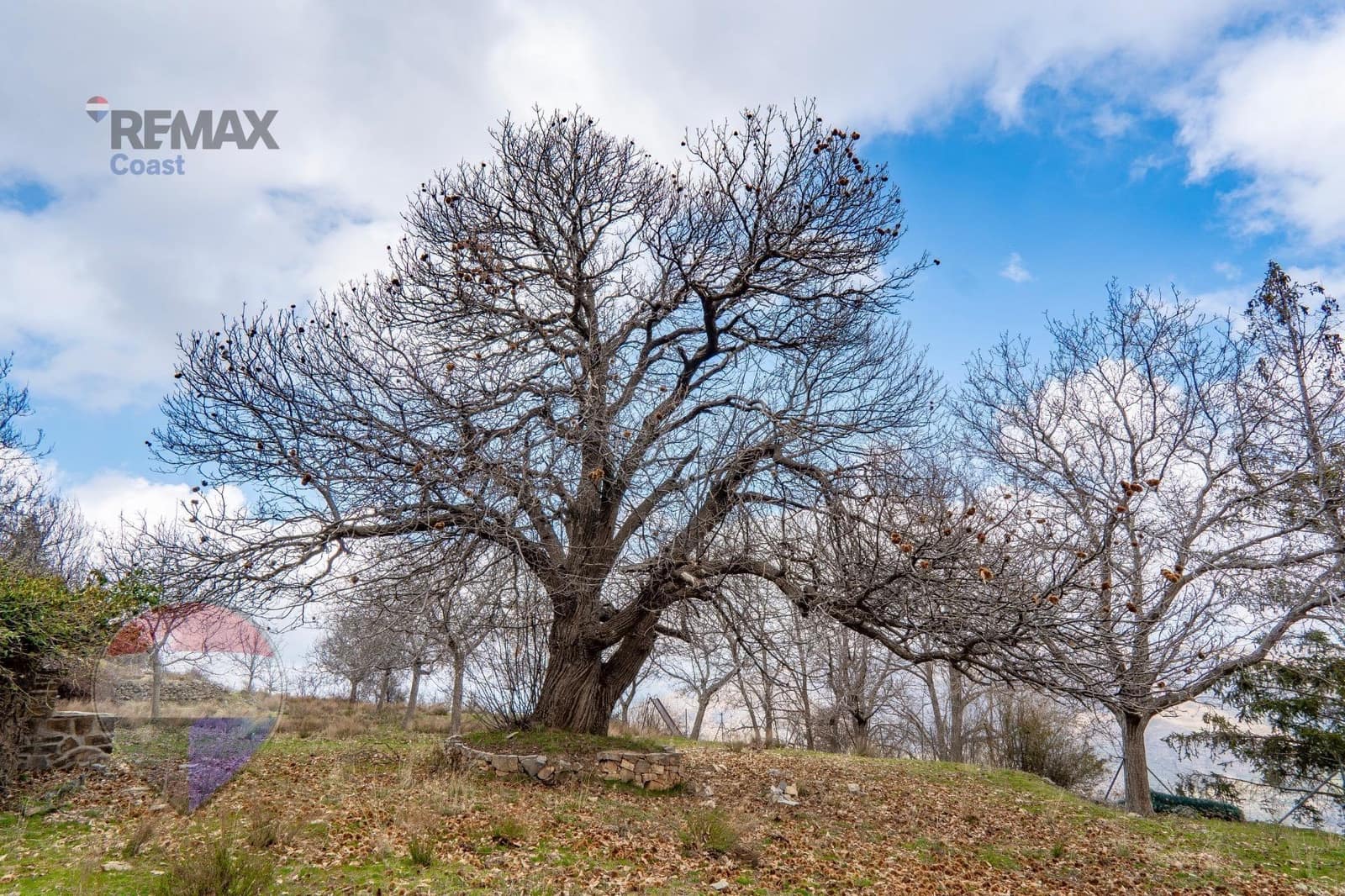 20 bedroom Hotel for sale in Guejar Sierra with garage - € 1,650,000 (Ref: 9755862)