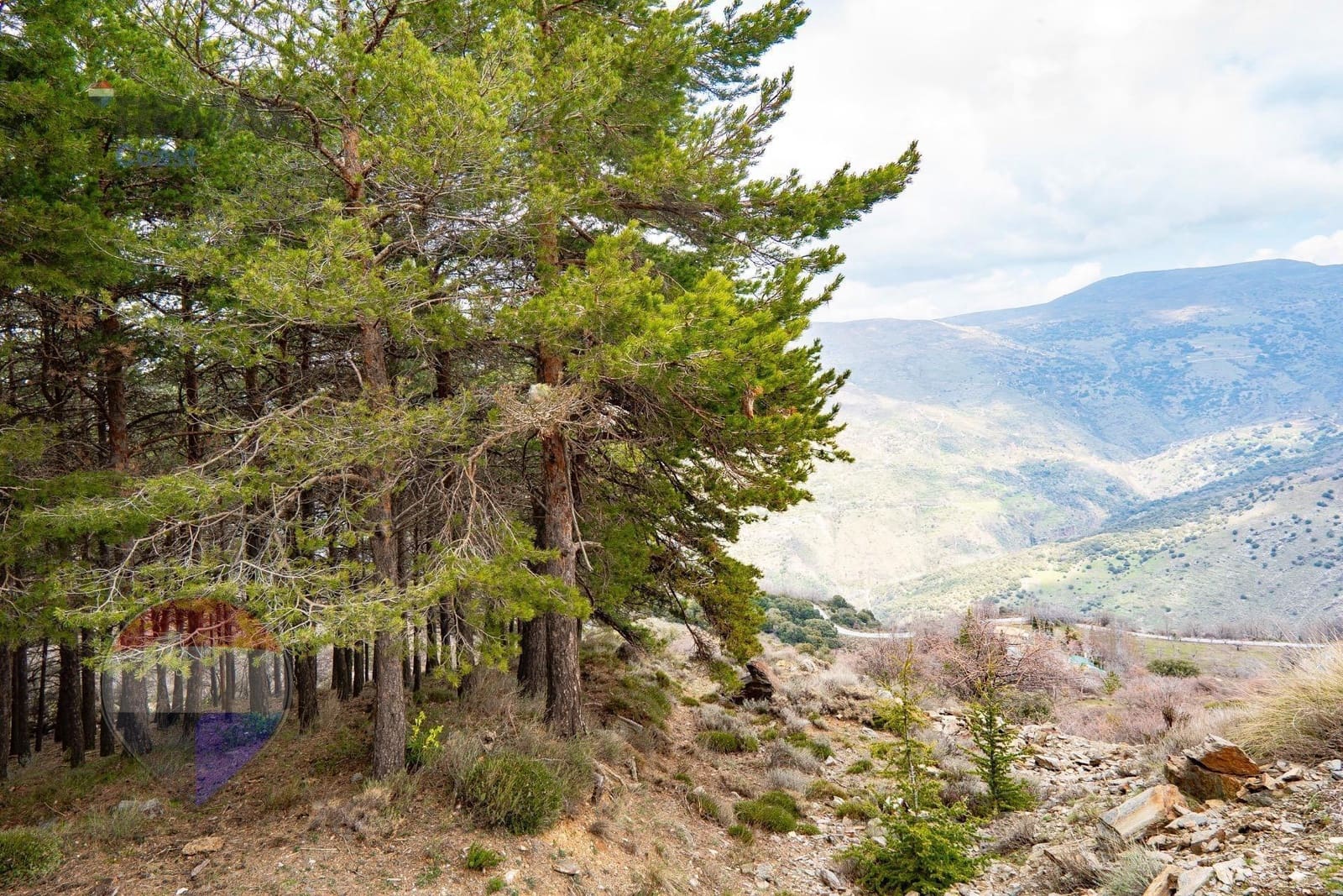 20 bedroom Hotel for sale in Guejar Sierra with garage - € 1,650,000 (Ref: 9755862)