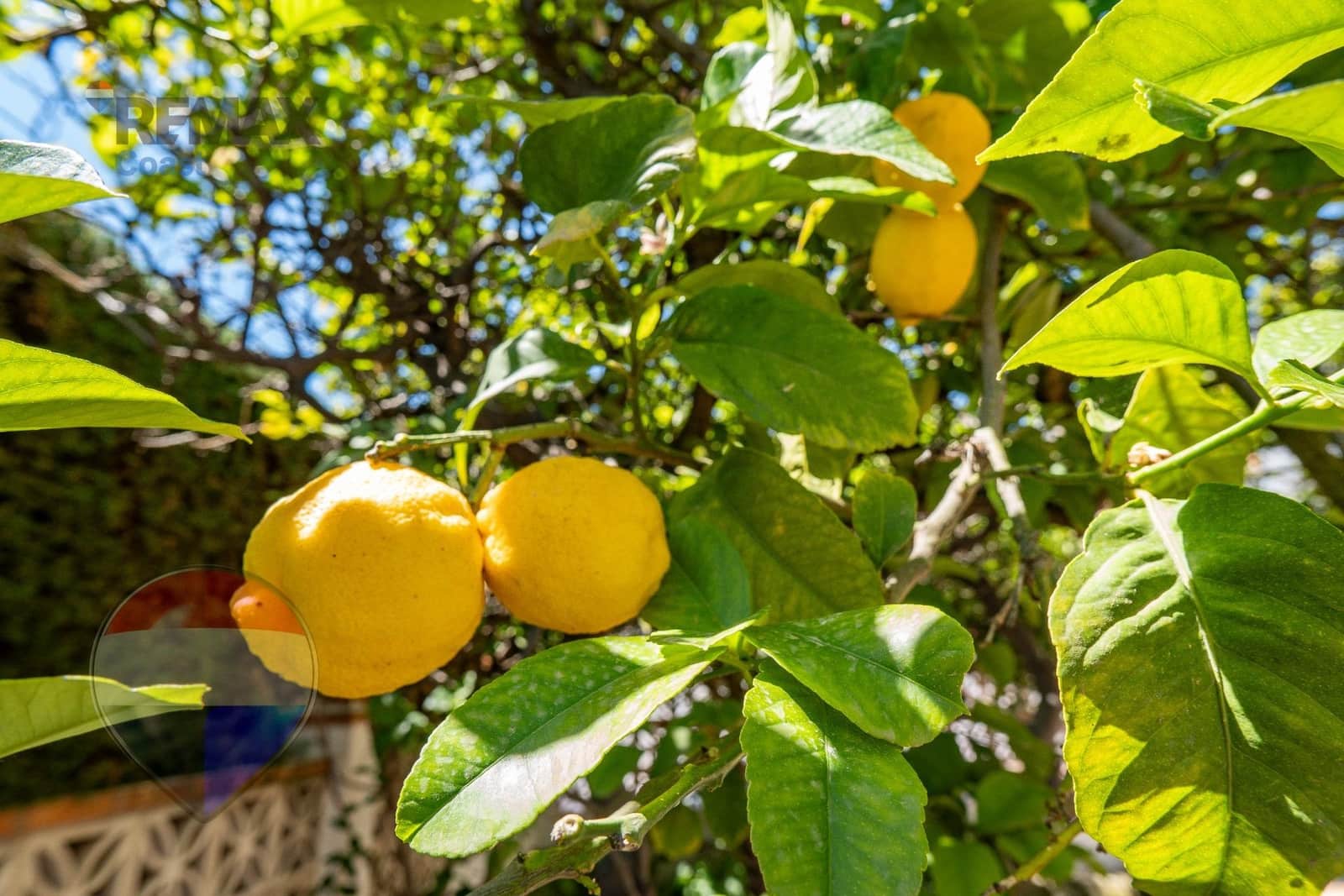 4 camera da letto Villa in vendita in Chilches con piscina - 595.000 € (Rif: 9780714)