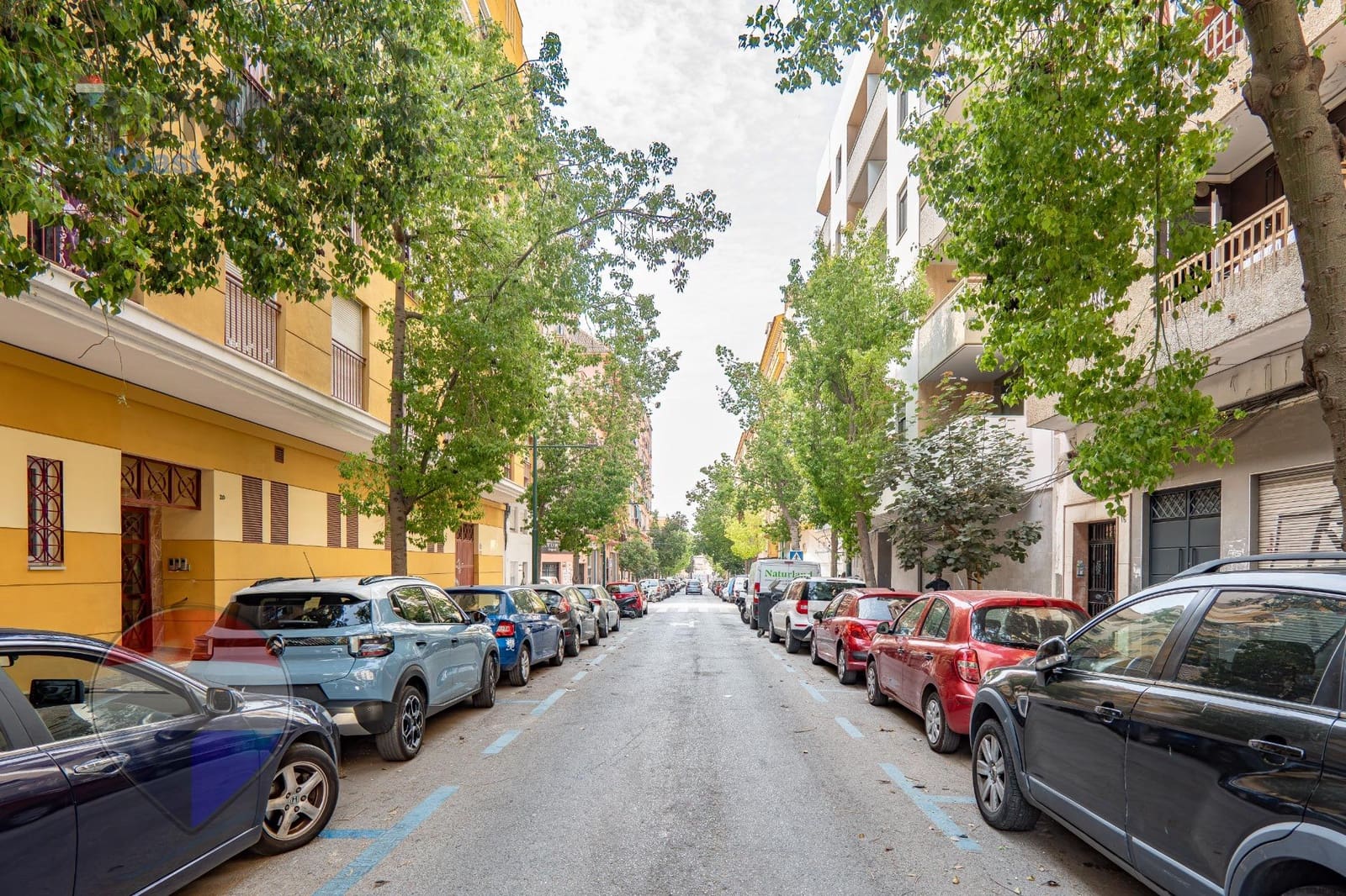 Comercial para venda em Malaga cidade - 119 000 € (Ref: 9990813)