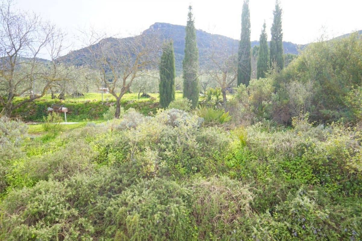 3 slaapkamer Villa te huur in Alhaurin el Grande met zwembad - € 2.000 (Ref: 5232861)