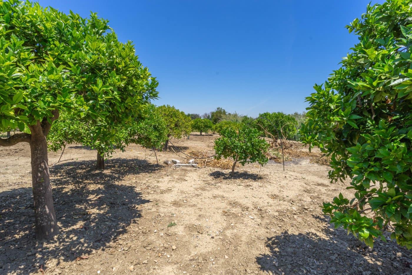 Chalet de 3 habitaciones en Alhaurín el Grande en venta con piscina - 450.000 € (Ref: 6168006)