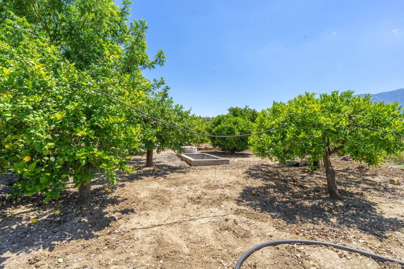 Chalet de 3 habitaciones en Alhaurín el Grande en venta con piscina - 450.000 € (Ref: 6168006)