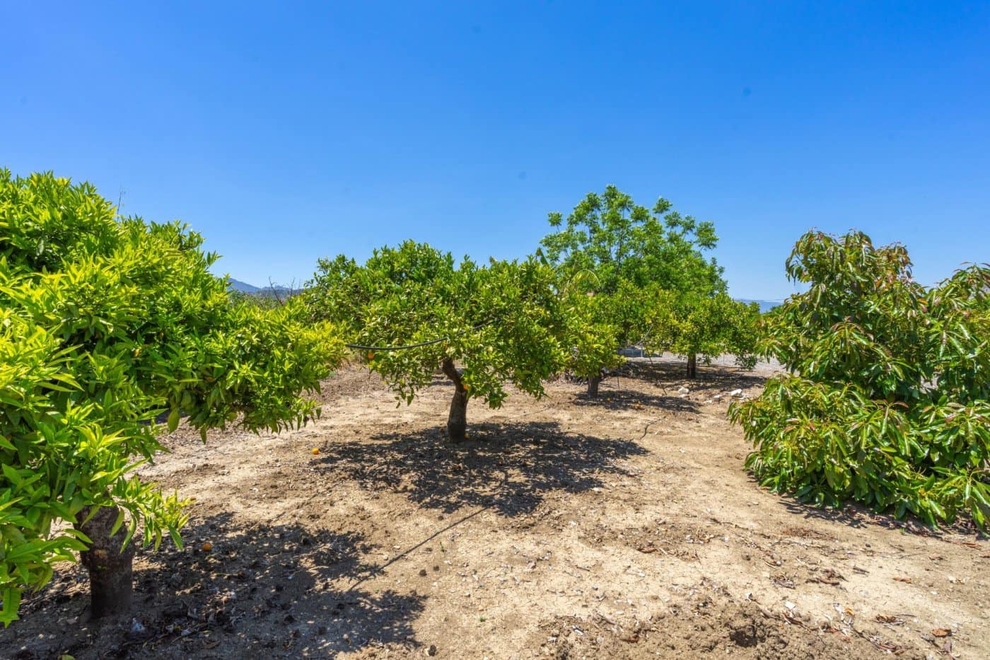 3 chambre Villa/Maison à vendre à Alhaurin el Grande avec piscine - 450 000 € (Ref: 6168006)