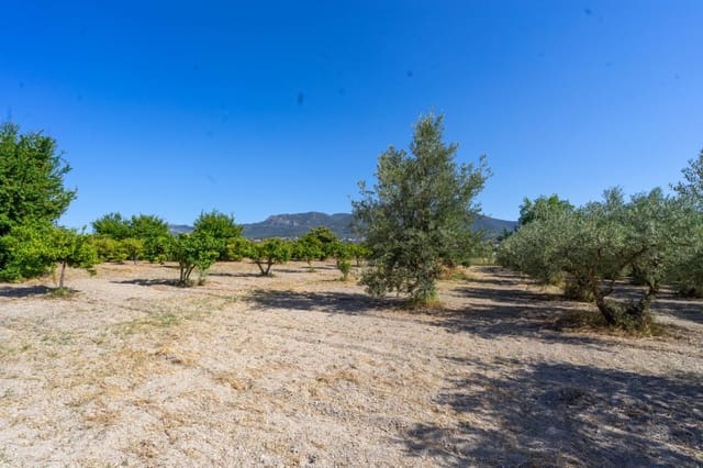 Undeveloped Land for sale in Alhaurín el Grande - € 179,000 (Ref: 6168024)