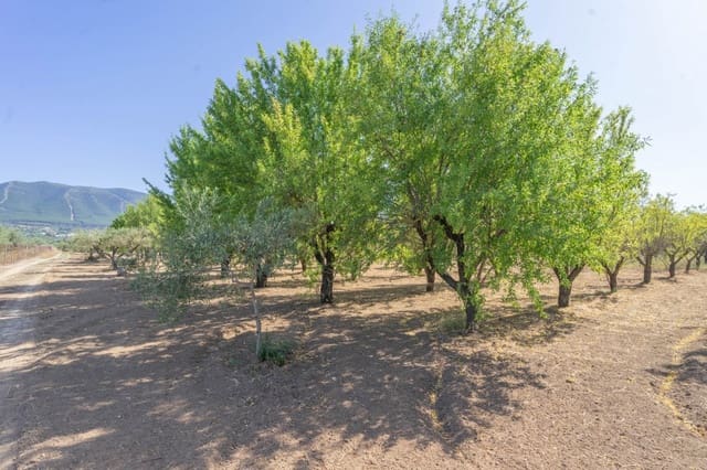 Undeveloped Land for sale in Alhaurín el Grande - € 179,000 (Ref: 6168024)