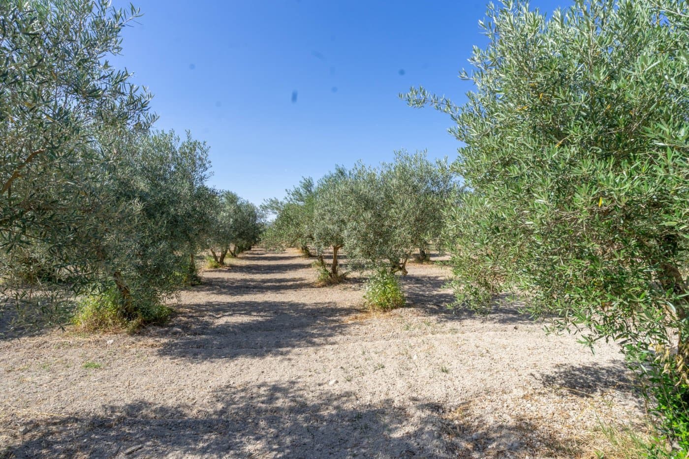 Grunde uden byggetilladelser til salg i Alhaurin el Grande - € 179.000 (Ref: 6168024)