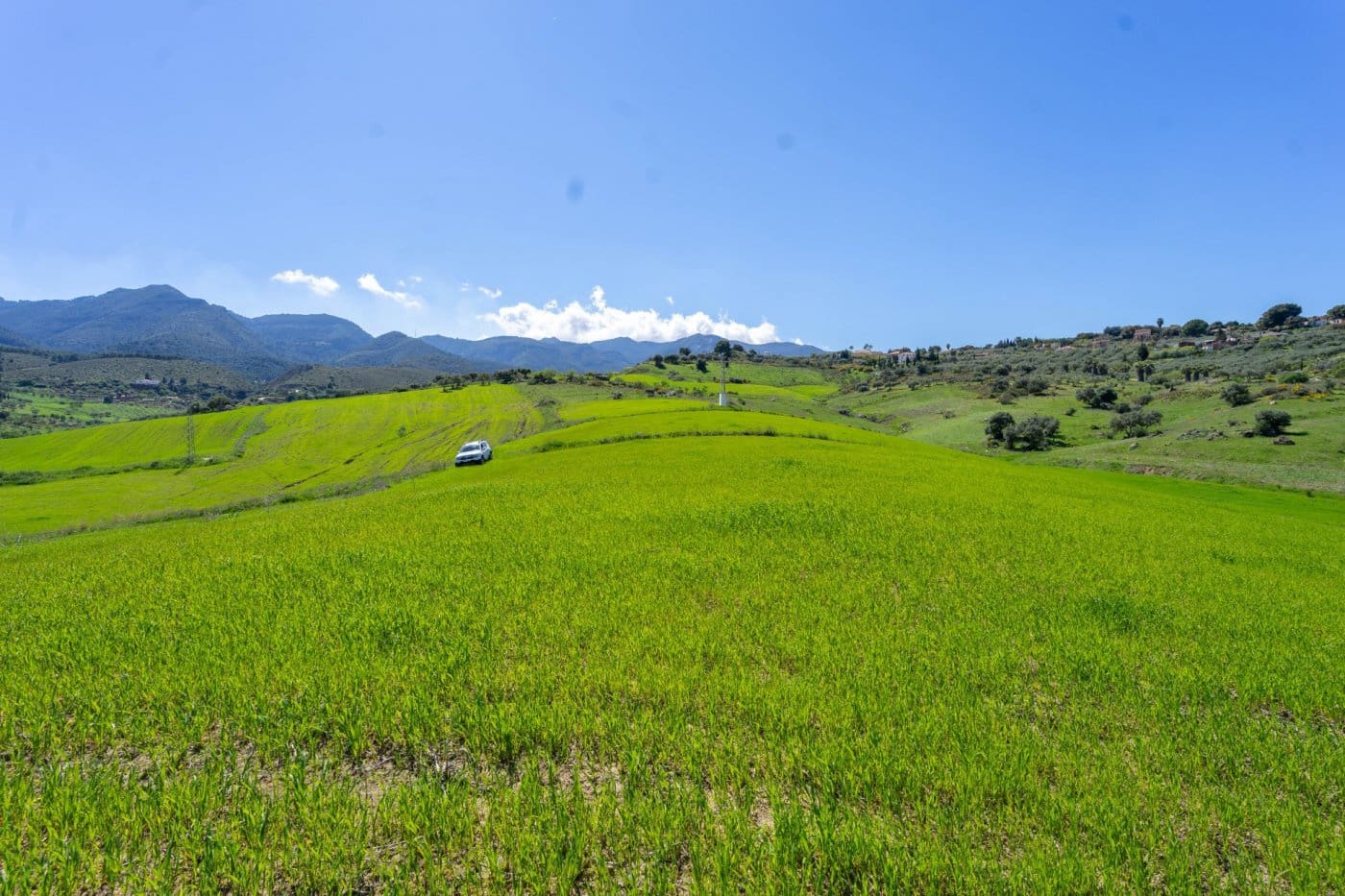 Mark till salu i Alhaurin de la Torre - 80 000 € (Ref: 6242645)