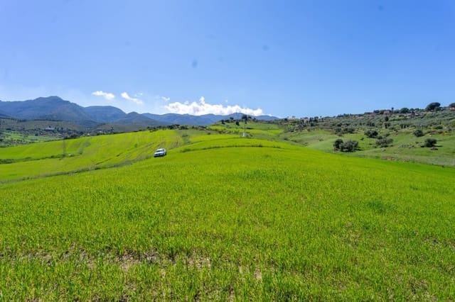 Mark till salu i Alhaurín de la Torre - 80 000 € (Ref: 6242645)