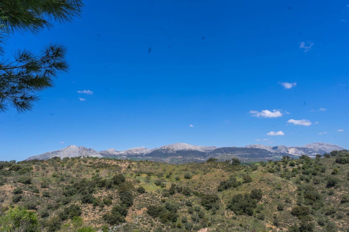 2 soveværelse Villa til salg i Malaga by med swimmingpool - € 550.000 (Ref: 6475869)