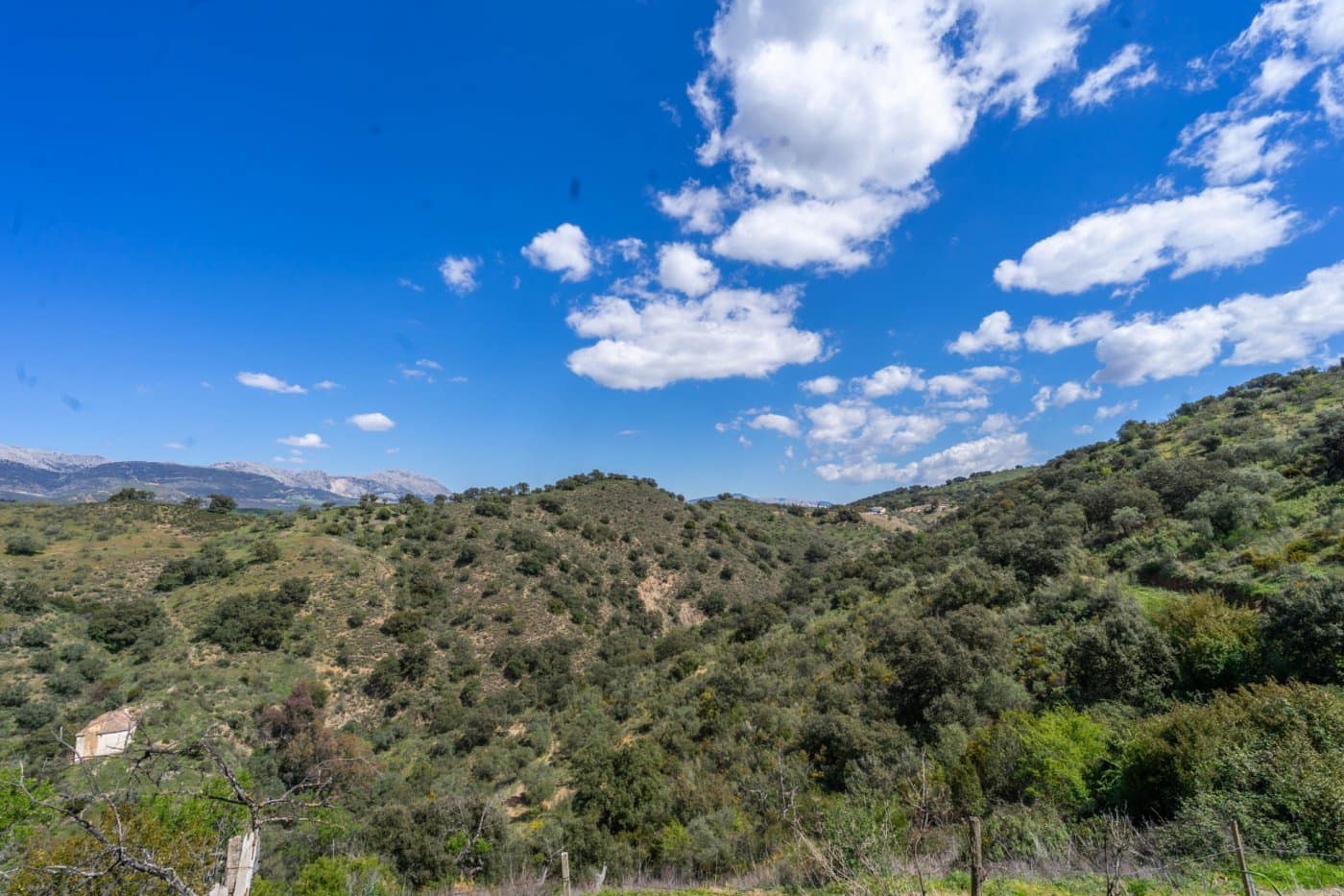 2 soveværelse Villa til salg i Malaga by med swimmingpool - € 550.000 (Ref: 6475869)