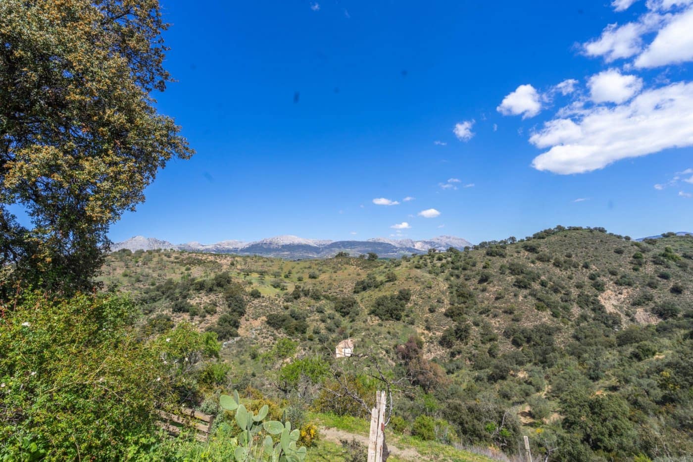 2 soveværelse Villa til salg i Malaga by med swimmingpool - € 550.000 (Ref: 6475869)