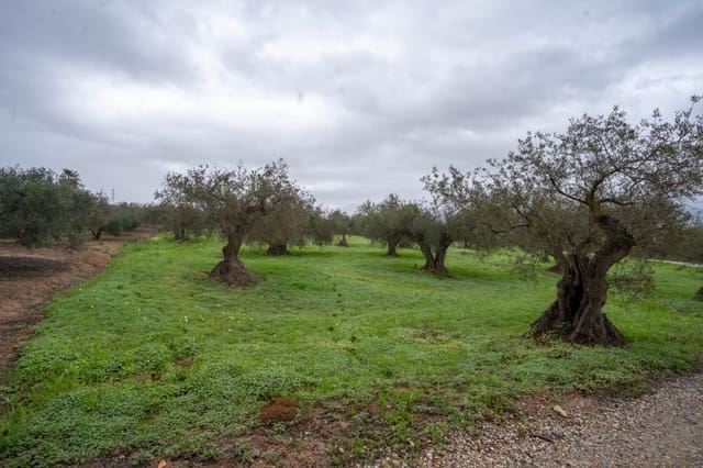Undeveloped Land for sale in Alhaurín el Grande - € 140,000 (Ref: 6754196)